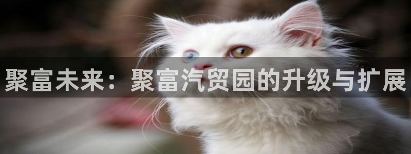 澳客/：聚富未来：聚富汽贸园的升级与扩展