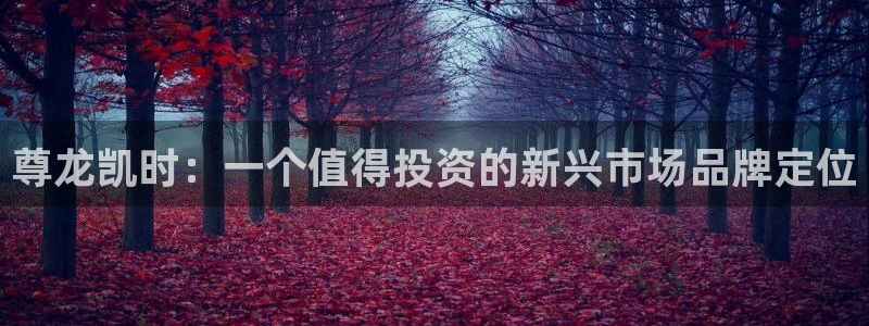 澳客比分赛果：尊龙凯时：一个值得投资的新兴市场品牌定位