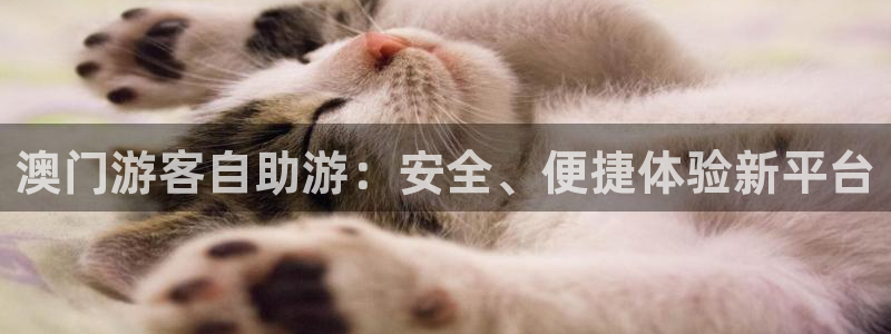澳客网移动版：澳门游客自助游：安全、便捷体验新平台