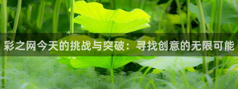 新版澳客官方：彩之网今天的挑战与突破：寻找创意的无限可能