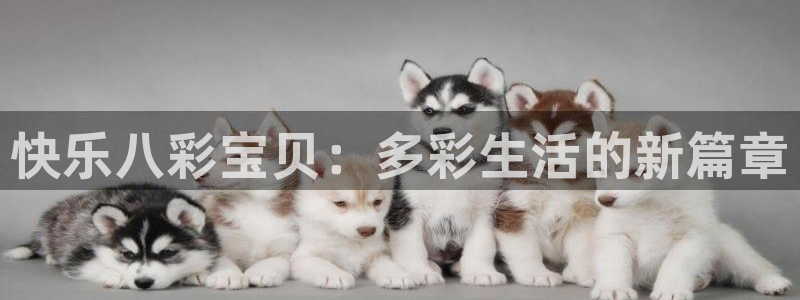 澳客官网站：快乐八彩宝贝：多彩生活的新篇章